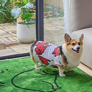 Qeils illustrated dachshund mascot